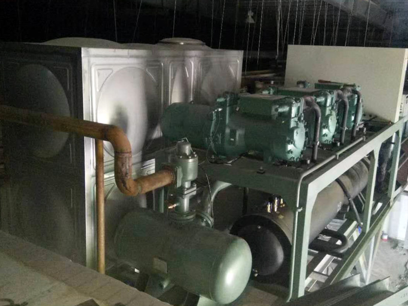 Cold storage low temperature chiller project