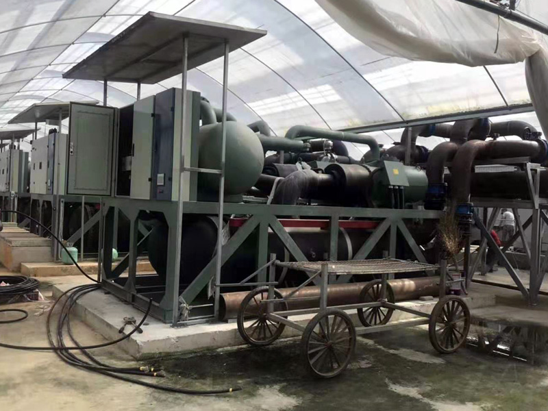 Nongqing Horticultural Technology Constant Temperature Greenhouse Project