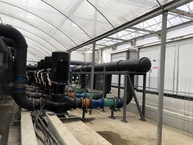 Nongqing Horticultural Technology Constant Temperature Greenhouse Project