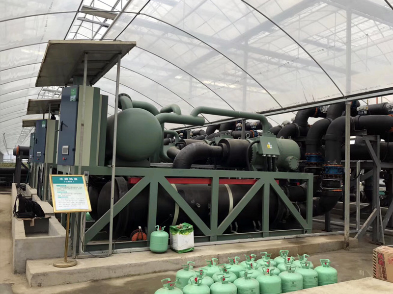 Nongqing Horticultural Technology Constant Temperature Greenhouse Project