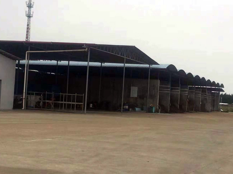 Annual output of 50,000 tons of constant temperature and humidity mushroom house project