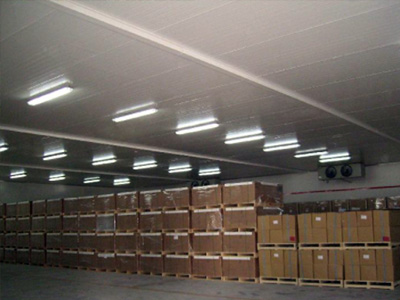 H.Stars integrated low temperature chiller is used in Xinjiang dried fruit fresh-keeping cold storage